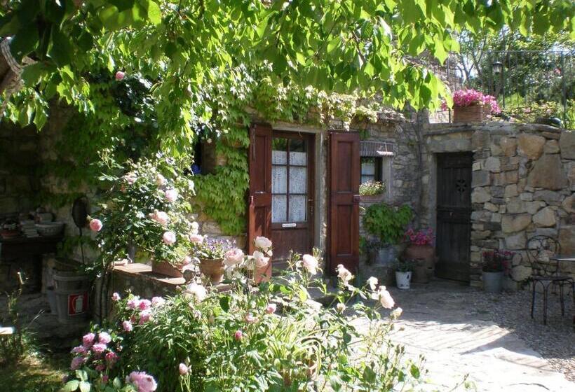 Номер Стандарт, Agriturismo Podere Torre