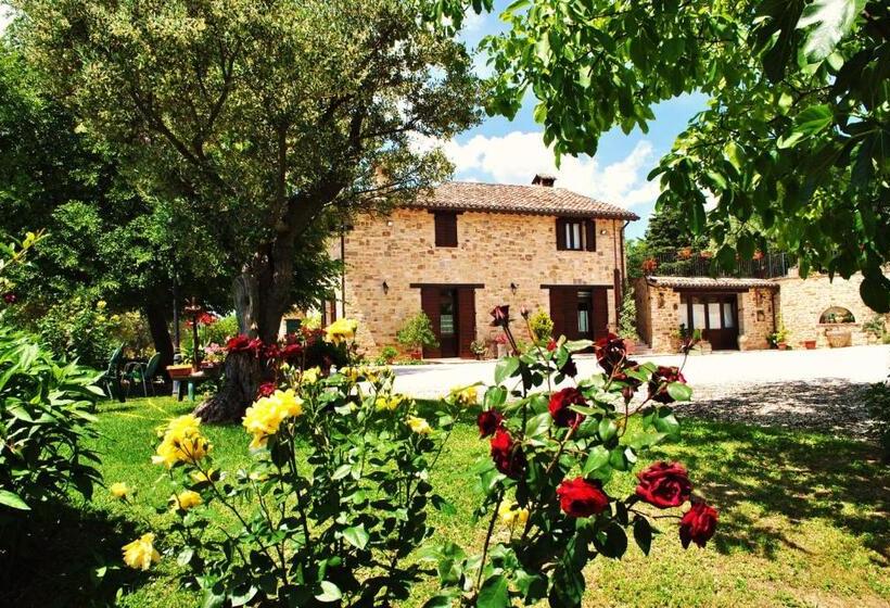 Номер Basic, Agriturismo L'antico Oliveto
