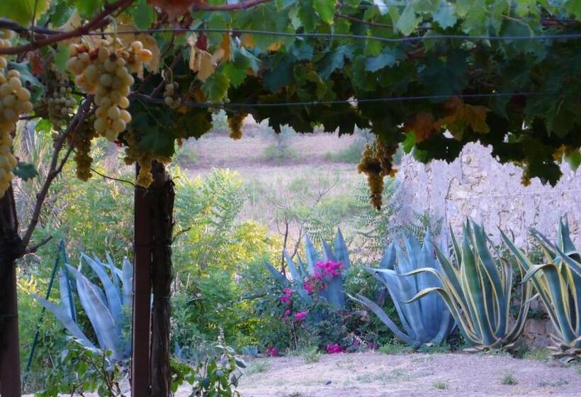 آپارتمان لوکس 1 خوابه, Tenuta Bartoli Maison De Charme