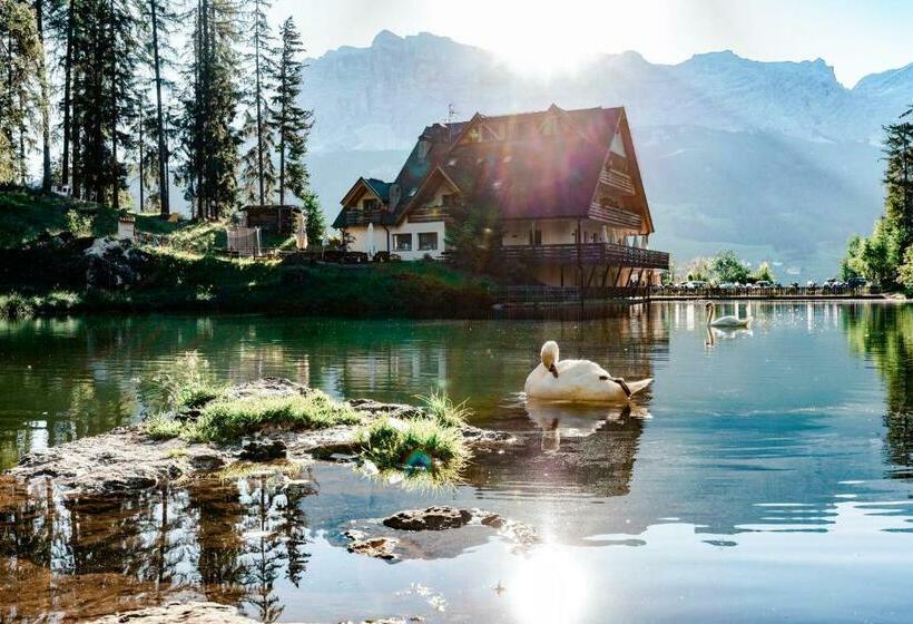 Апартаменты 1 Спальня, Residence Ciasa Vedla