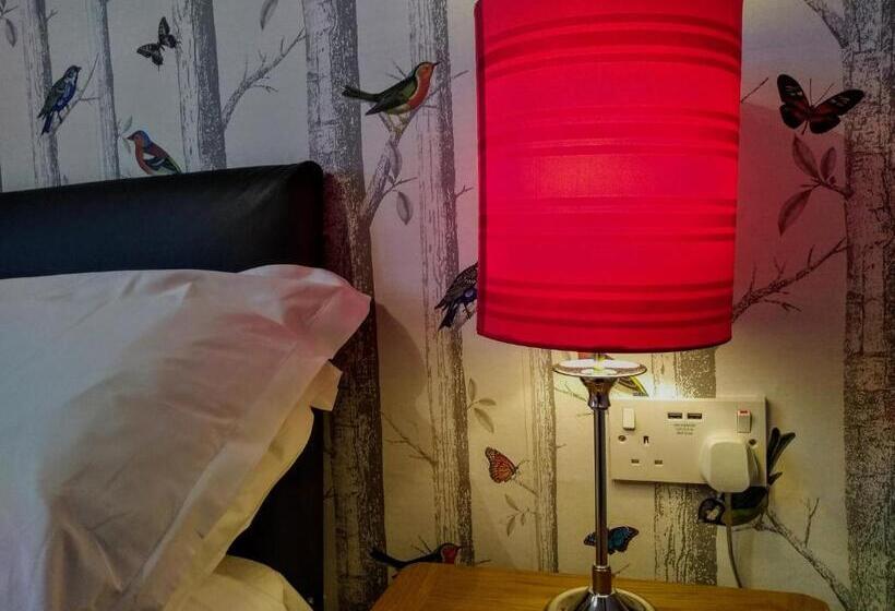 Номер Basic, Bluebird Lodge
