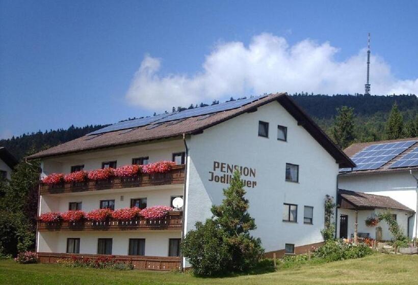 Номер Стандарт, Pension Jodlbauer