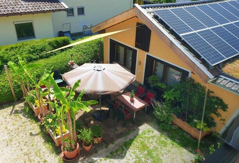 Апартаменты 1 Спальня с Балконом, Casa Shania
