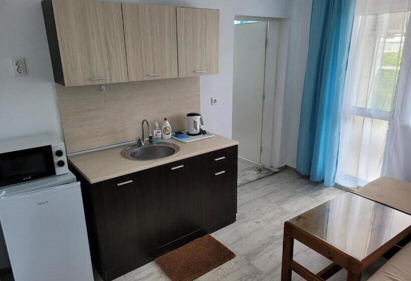带1个卧室的带阳台的公寓, Guest House Evtimov