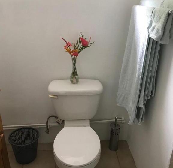 اتاق استاندارد با چشم‌انداز باغ, Cocoa Pod Studio