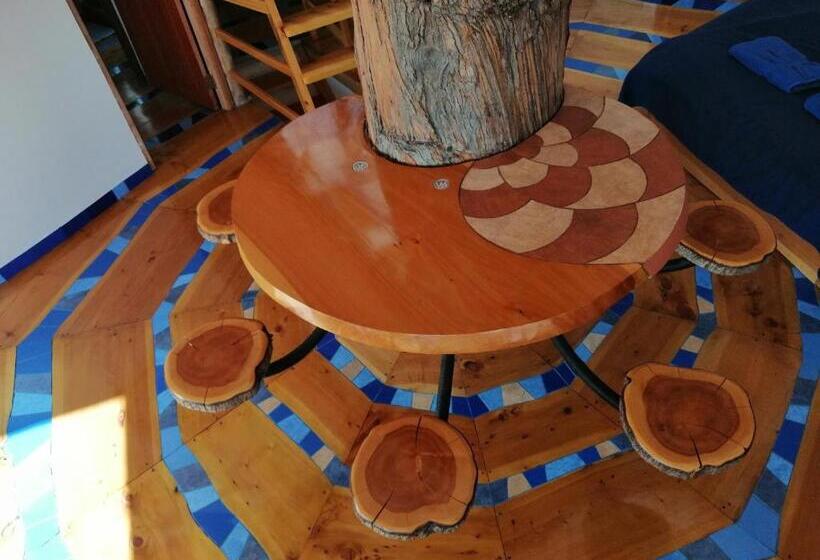 سوییت سوپریور, Hostal Las Olas