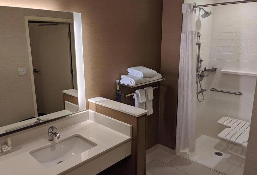 Стандартный Номер Кровать Кинг, Fairfield Inn & Suites By Marriott Phoenix Tempe/airport