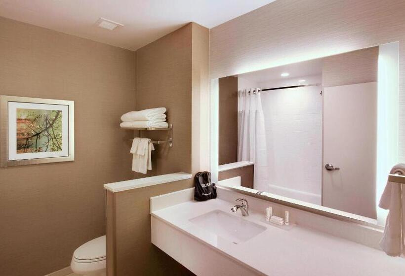 Люкс, Fairfield Inn & Suites By Marriott Phoenix Tempe/airport