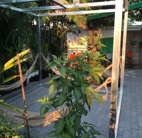 خانه 4 خوابه, Siem Reap Homesteading