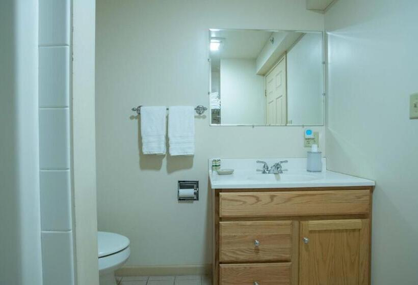 Номер Deluxe, Swift River Suites