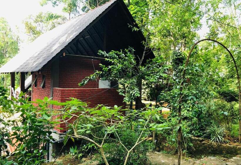 اتاق استاندارد, Little Folly