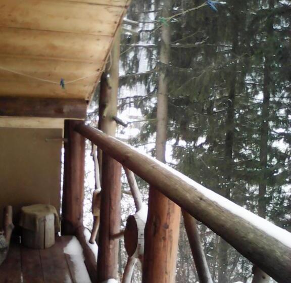 غرفة قياسية رباعية, Krutogora