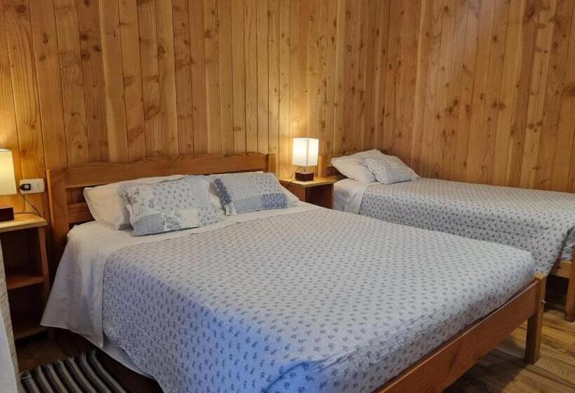 اتاق استاندارد سه نفره, Apart Hotel Antu De Villarrica