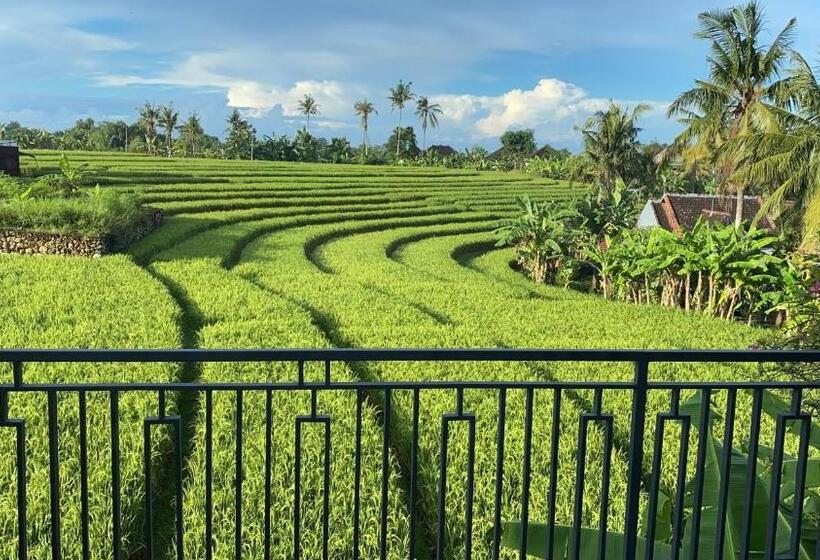 高级大房间, Canggu   Pererenan Guesthouse  Abalihouse