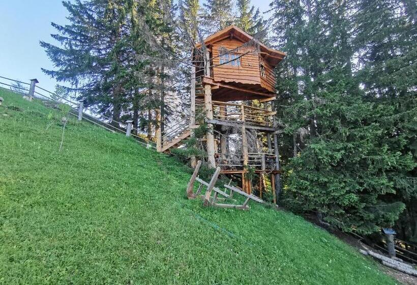 خانه 1 خوابه, Guesthouse Planinarski Dom Neviđen'o