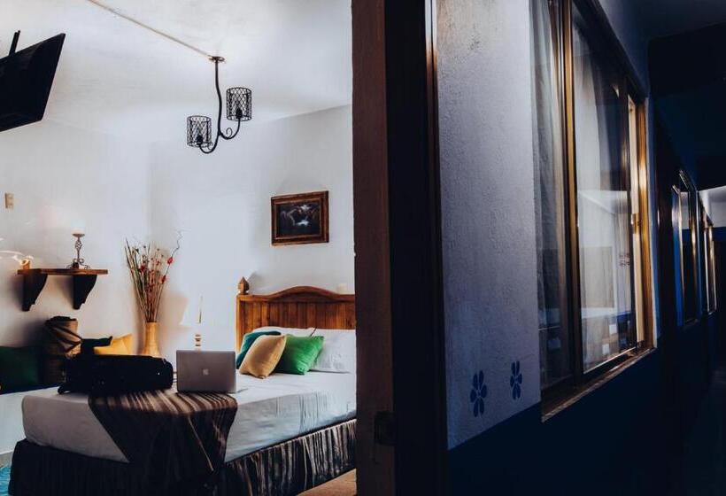 غرفة قياسية مطلّة علي الحديقة, Hostal Plaza Central