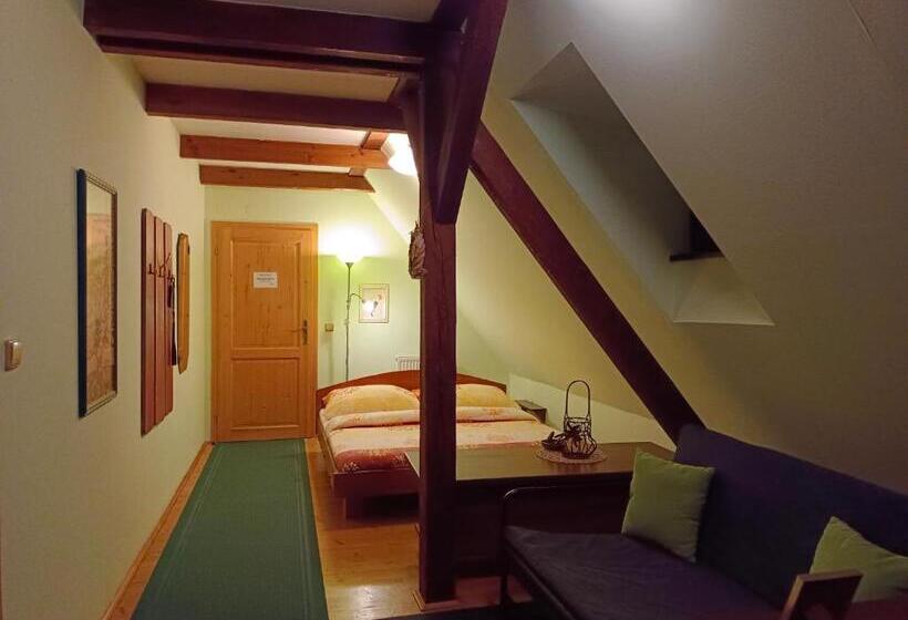 Номер Стандарт Вид на Реку, Guest House Olšakovský