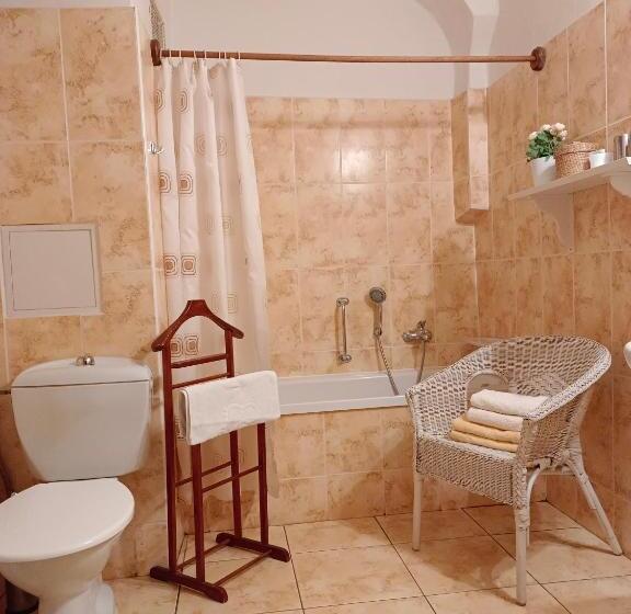Номер Стандарт, Guest House Olšakovský