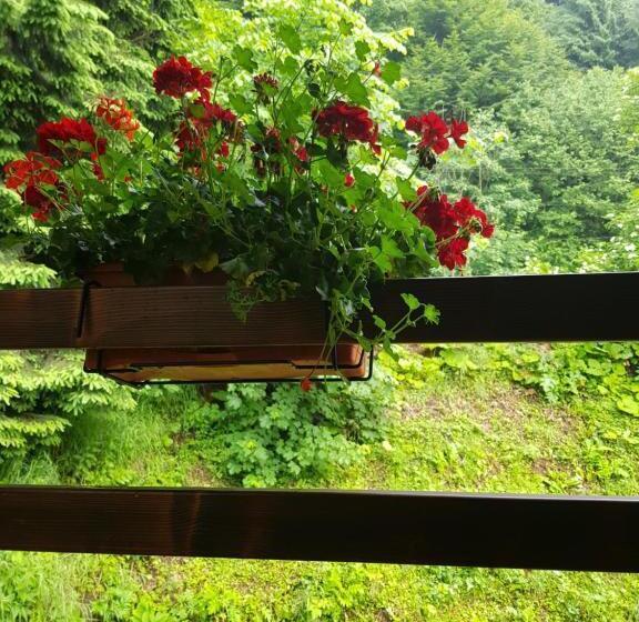 스탠다드 발코니 룸, Timis Valley, Casa Eni&dan
