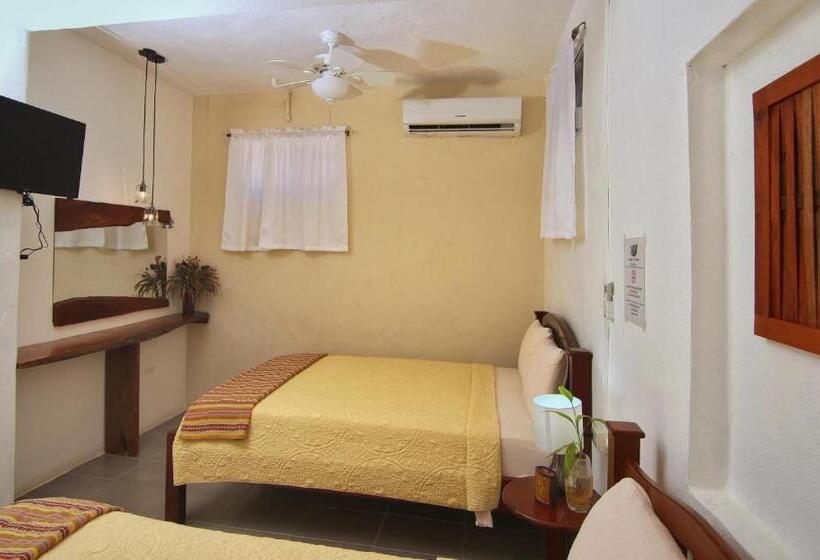 اتاق لوکس, Rainforest Haven Inn