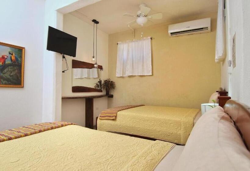 اتاق لوکس, Rainforest Haven Inn