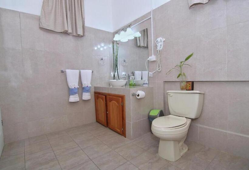 اتاق لوکس, Rainforest Haven Inn