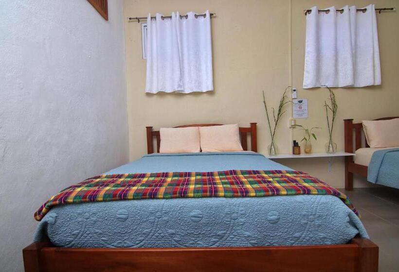 اتاق لوکس, Rainforest Haven Inn