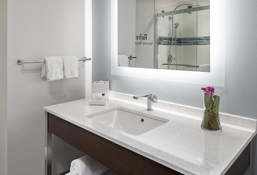 标准间, Even Hotel Alpharetta   Avalon Area, An Ihg
