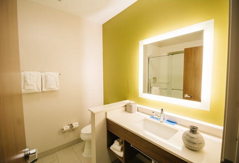 스탠다드 룸, Holiday Inn Express & Suites Birmingham   Homewood By Ihg