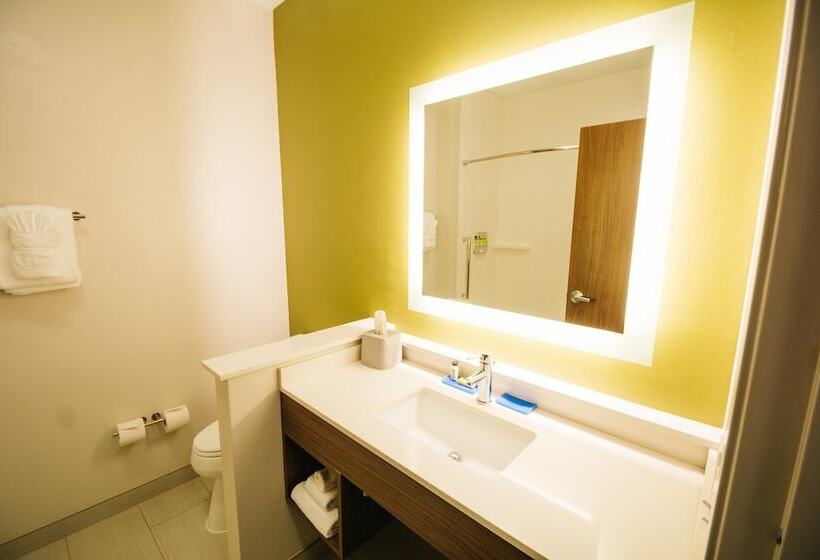 套房, Holiday Inn Express & Suites Birmingham   Homewood By Ihg