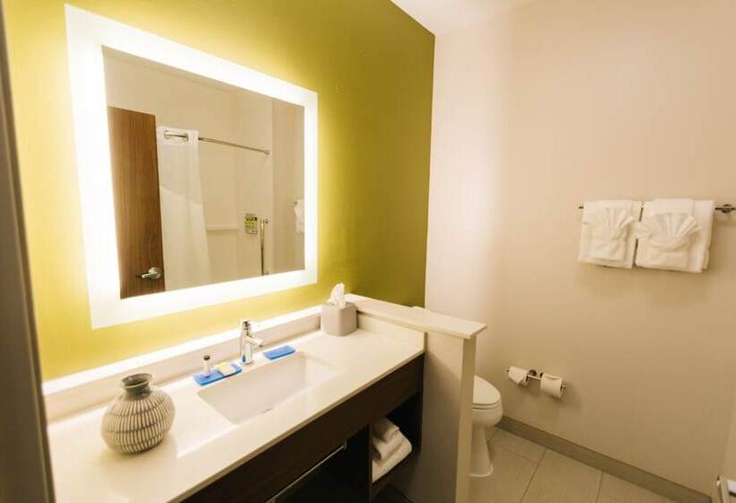 스위트, Holiday Inn Express & Suites Birmingham   Homewood By Ihg