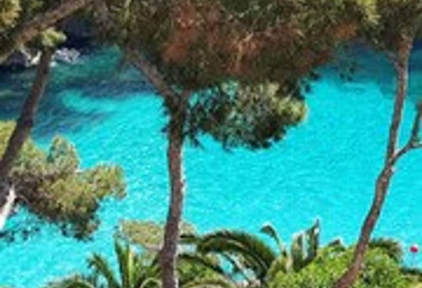 サイドオーシャンビュースタンダードルーム, Pinos Playa