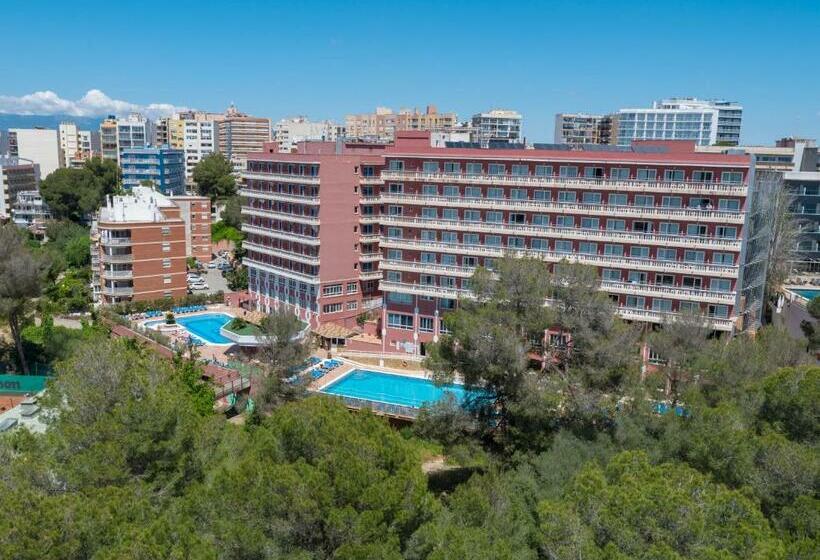 스탠다드 룸 풀장 전망, Seramar Hotel Luna Park Adults Only