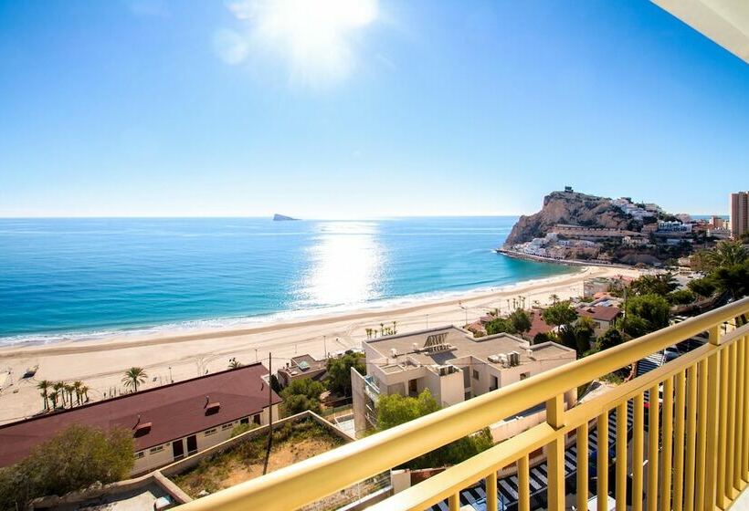 패밀리 룸, Servigroup Torre Dorada