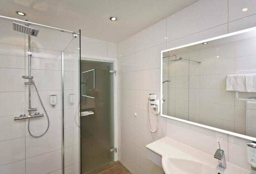 Номер Deluxe, Stadthotel Goldenes Schiff