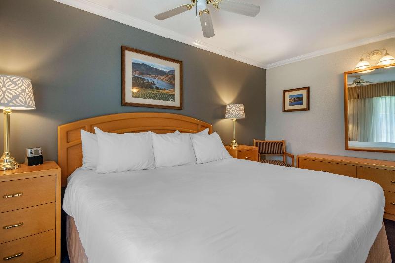 Standard Værelse King Size Seng, Best Western Inn At Penticton