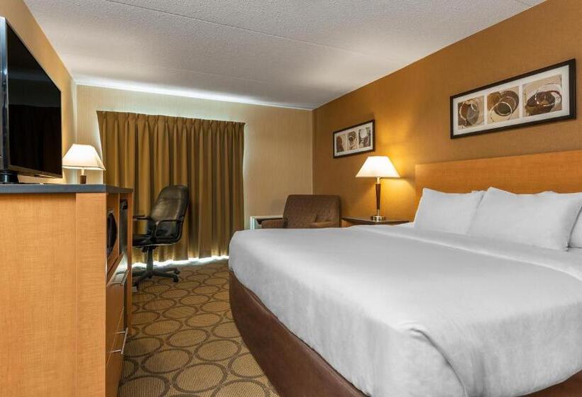 带大床的标准间, Comfort Inn Magnetic Hill