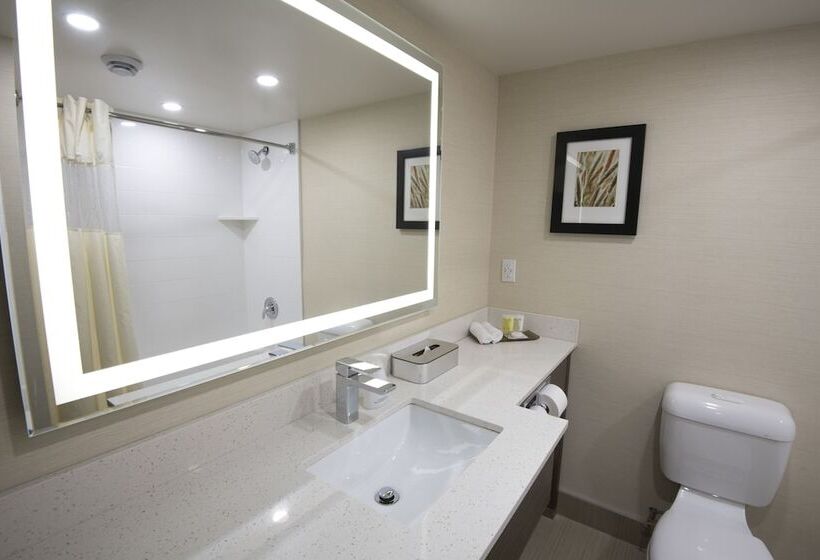 디럭스 룸, Victoria Inn Hotel And Convention Center Winnipeg