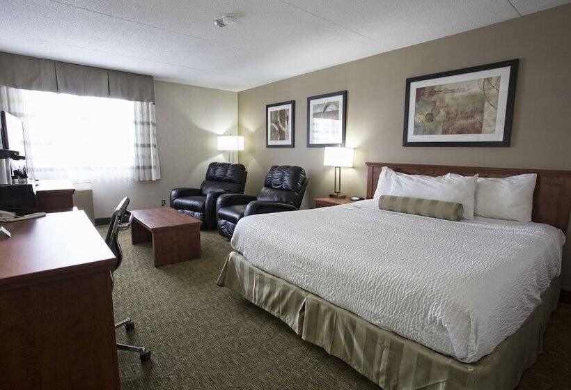 Полулюкс, Superior Inn Hotel And Conference Centre Thunder Bay