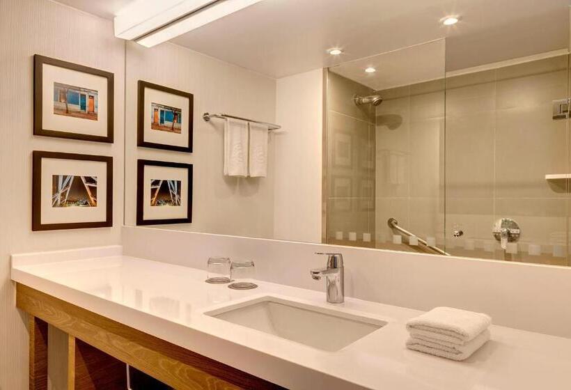 اتاق کلاسیک با چشم‌انداز استخر, Sheraton Santiago Hotel & Convention Center