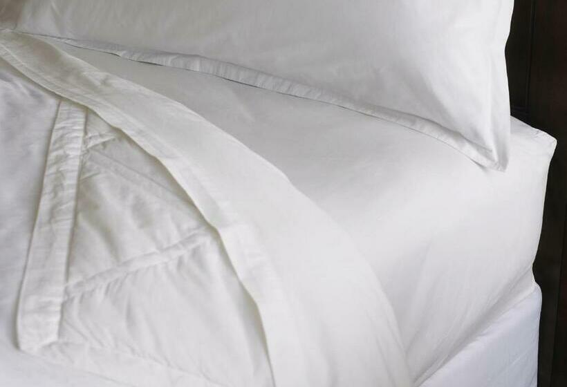 اتاق کلاسیک با چشم‌انداز شهر, Sheraton Santiago Hotel & Convention Center