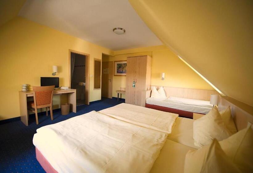 Трехместный Номер Комфорт, Parkhotel Rüdesheim