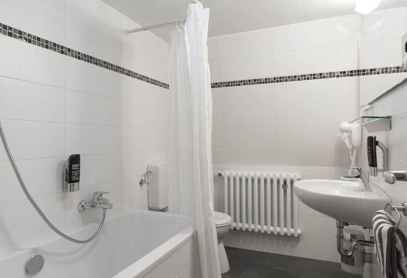 小型套房, Top Hotel Amberger