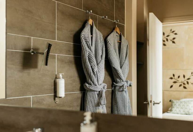Номер Deluxe, Hôtel Cézanne Boutique Hôtel