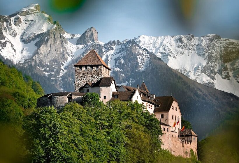 单人基本间, Park Hotel Sonnenhof   Relais & Châteaux