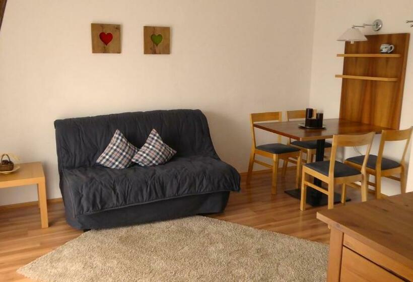 Апартаменты 1 Спальня с Видом, Apparthotel Maier