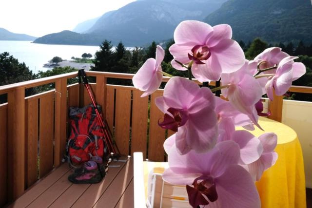 Трехместный Номер Стандарт с Балконом, Lake&nature Hotel Gloria