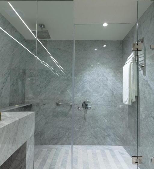 デラックスルーム, Camino Real Polanco Mexico
