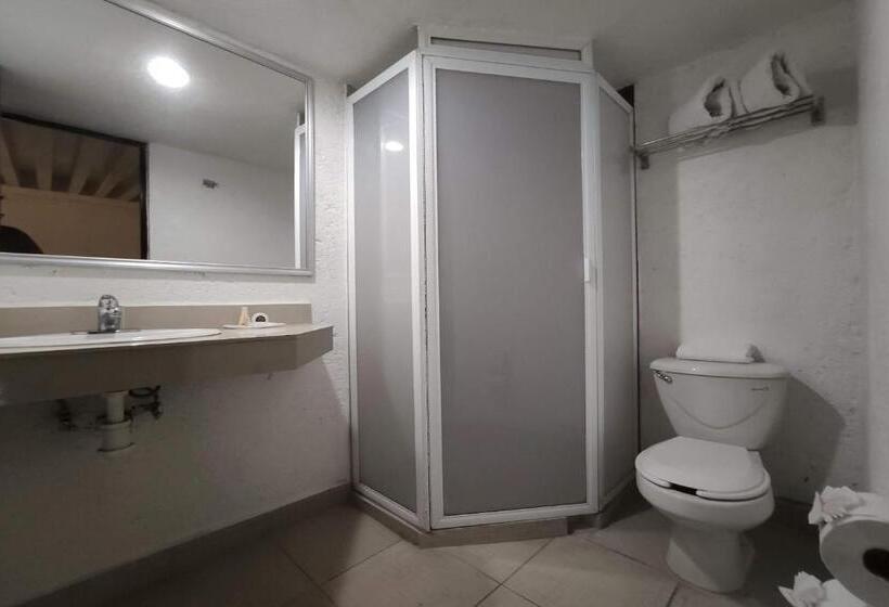 غرفة قياسية, Collection O Hotel Del Portal, Puebla