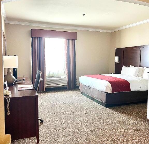 디럭스 스위트 킹 침대, Comfort Suites Texas Ave